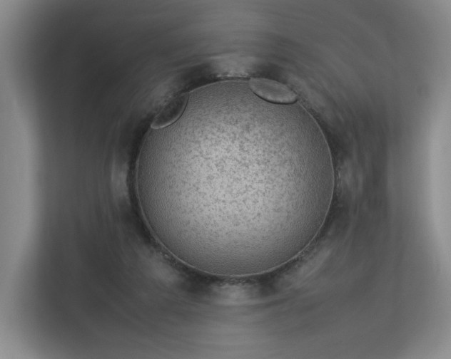 X0000112730209200908271435