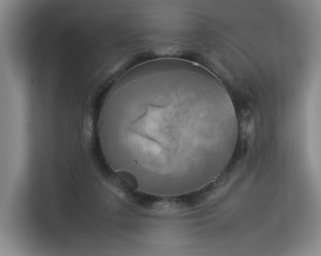 X0000112730211200908271435