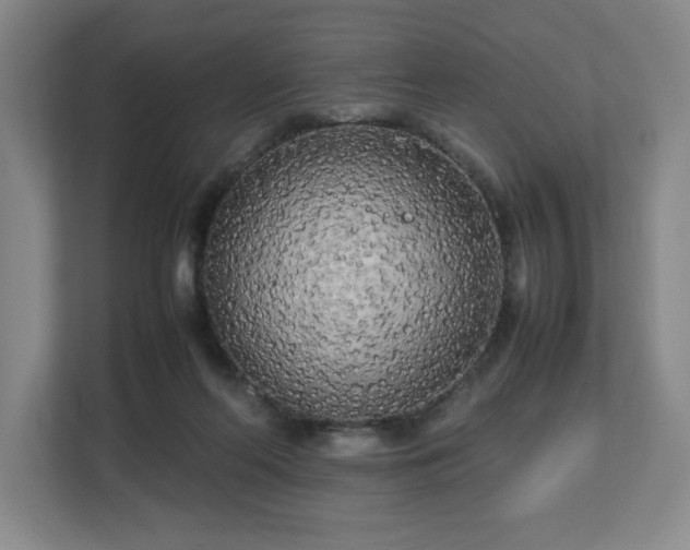 X0000112730214200908271435