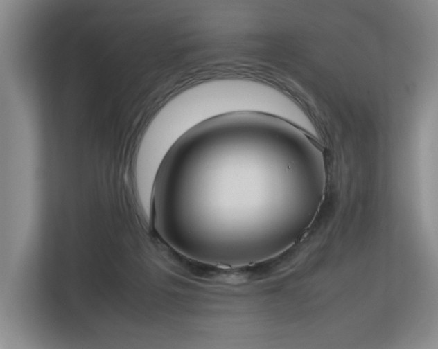 X0000112730217200908271435