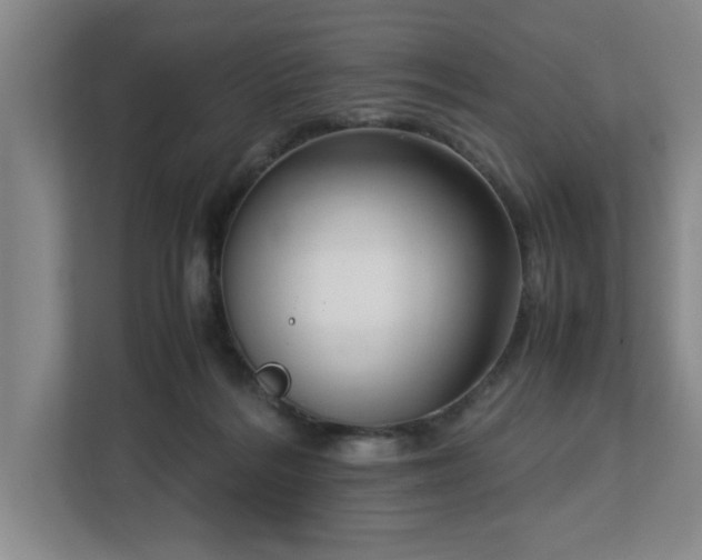 X0000112730220200908271435