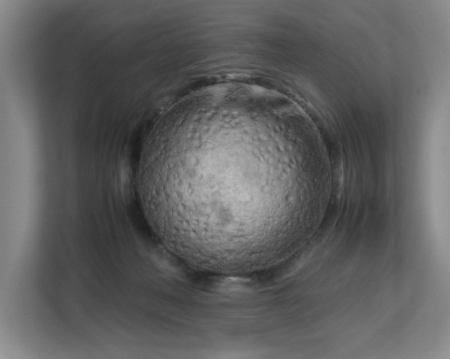 X0000112730222200908271435