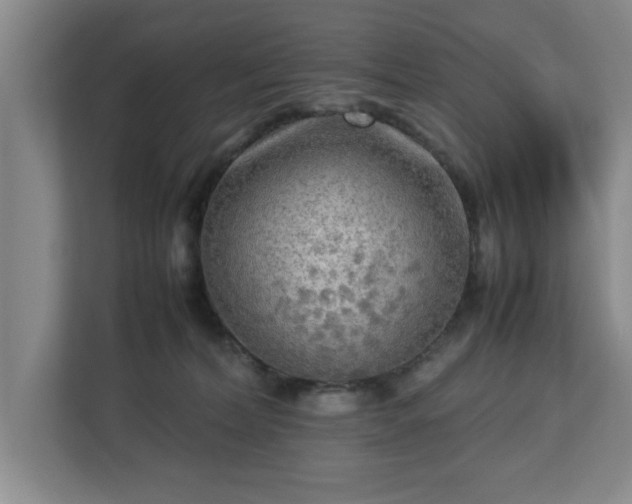 X0000112730228200908271434