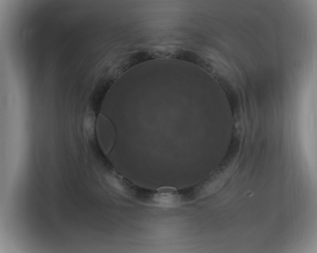 X0000112730231200908271434