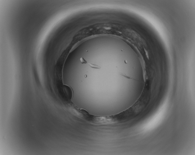 X0000112730239200908271434