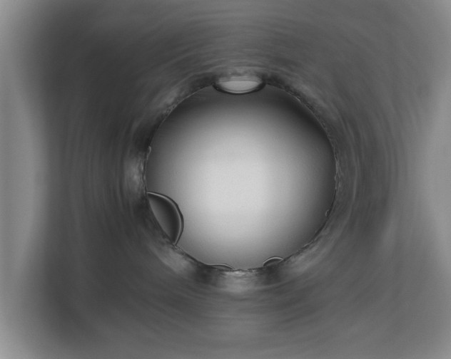 X0000112730240200908271434