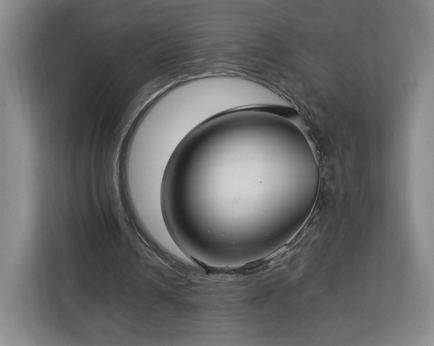 X0000112730242200908271434