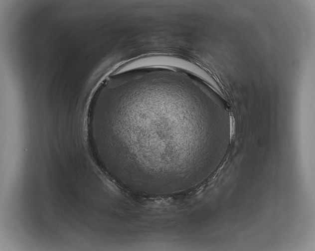 X0000112730243200908271434