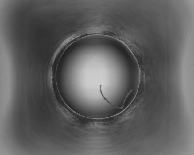 X0000112730244200908271434