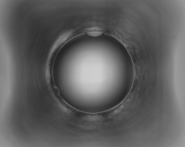 X0000112730245200908271434