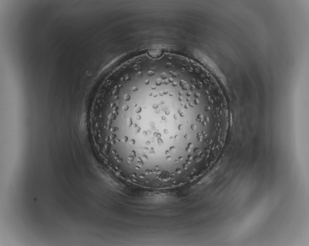 X0000112730249200908271434