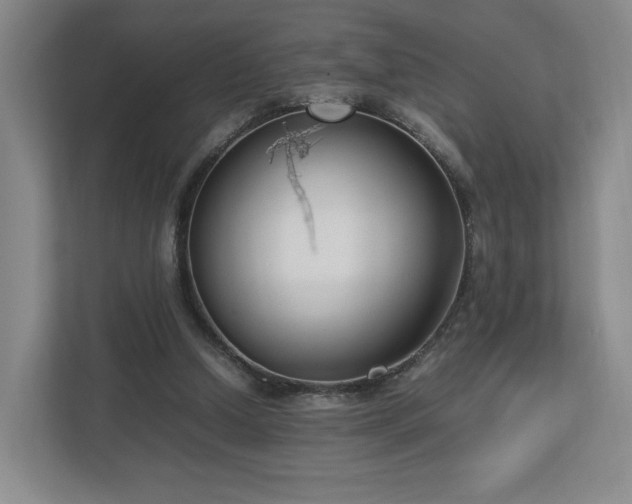 X0000112730250200908271434