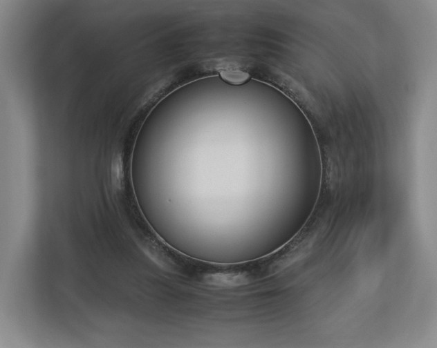 X0000112730251200908271434