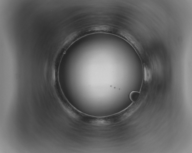 X0000112730253200908271434