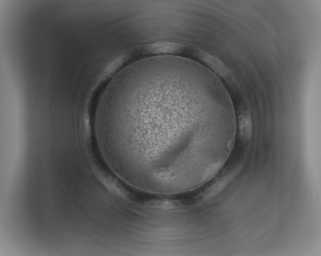 X0000112730254200908271434