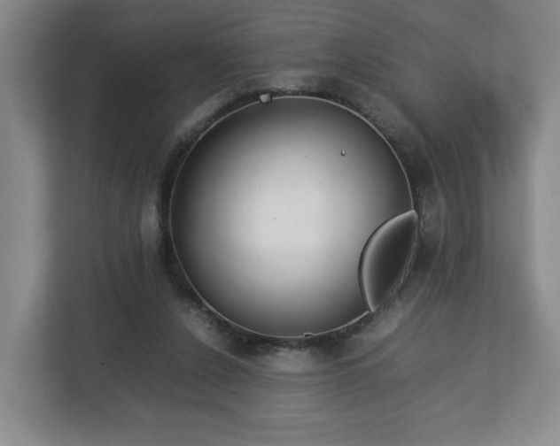 X0000112730256200908271434