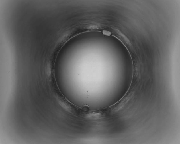 X0000112730257200908271434