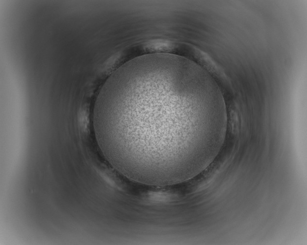 X0000112730259200908271434