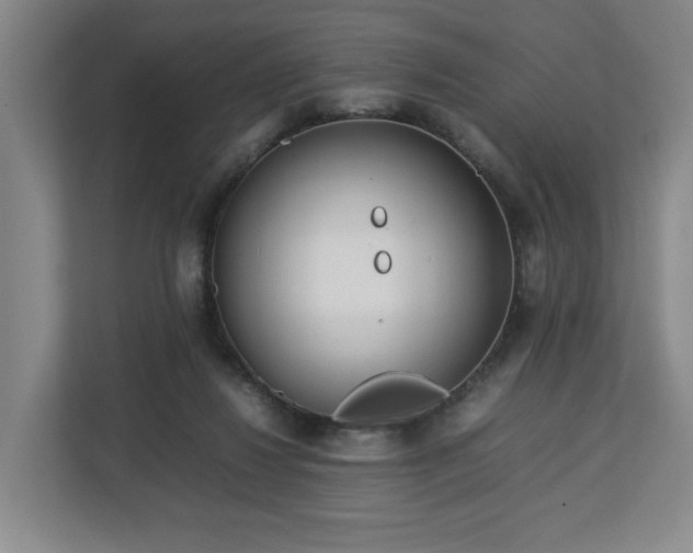 X0000112730260200908271434