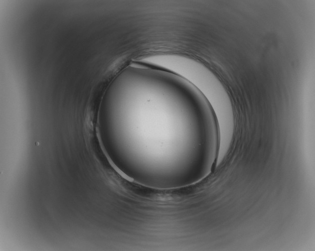 X0000112730264200908271434