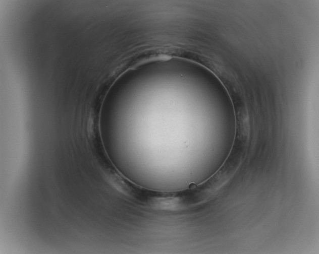 X0000112730266200908271434