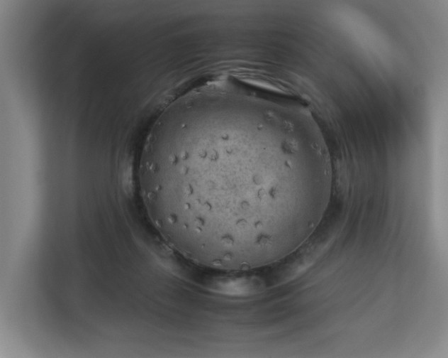 X0000112730267200908271434