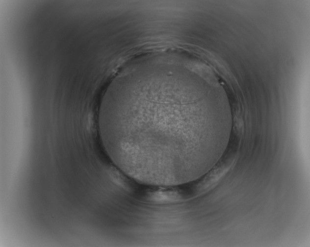 X0000112730270200908271434