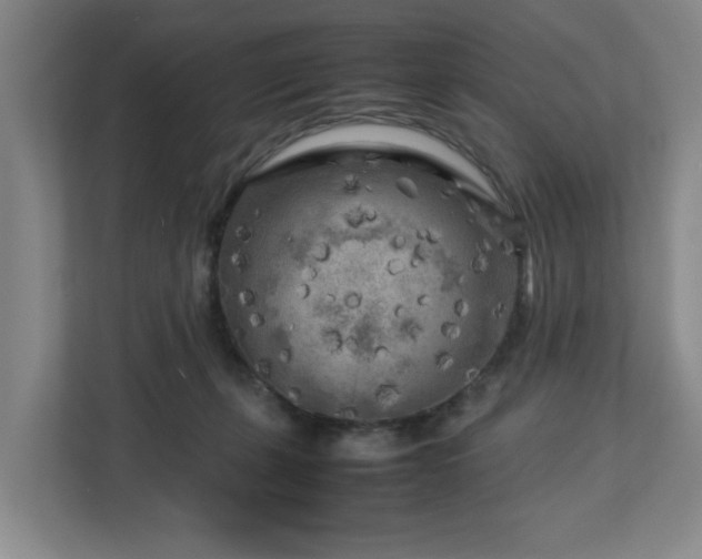 X0000112730271200908271434