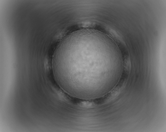 X0000112730272200908271434