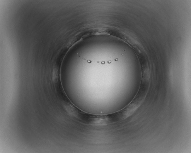 X0000112730274200908271434