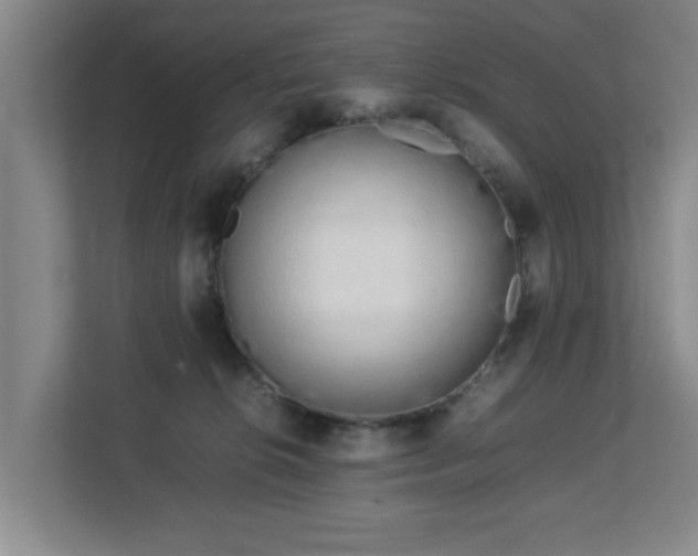 X0000112730276200908271434