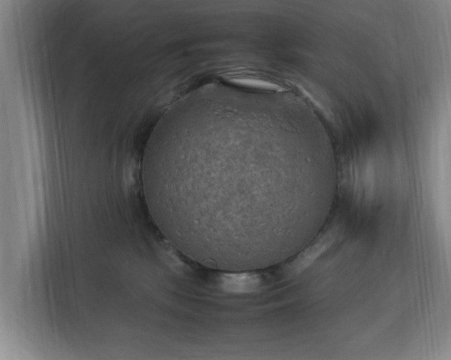 X0000112730281200908271434