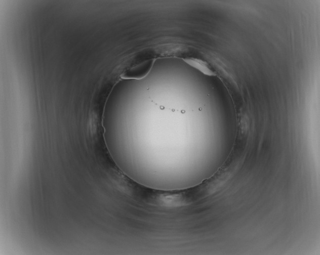 X0000112730283200908271434