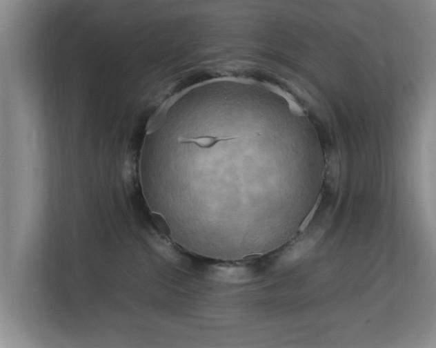 X0000112730284200908271434