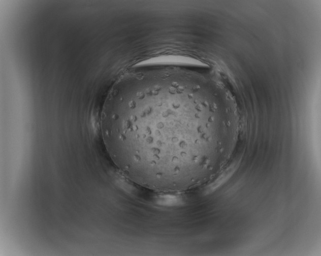 X0000112730285200908271434