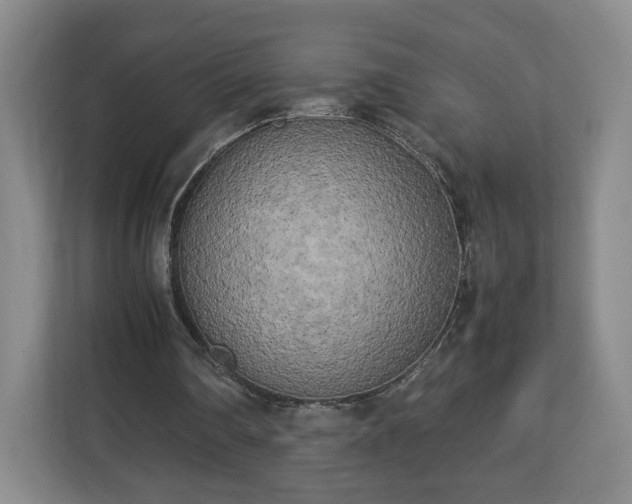 X0000112730290200908271434