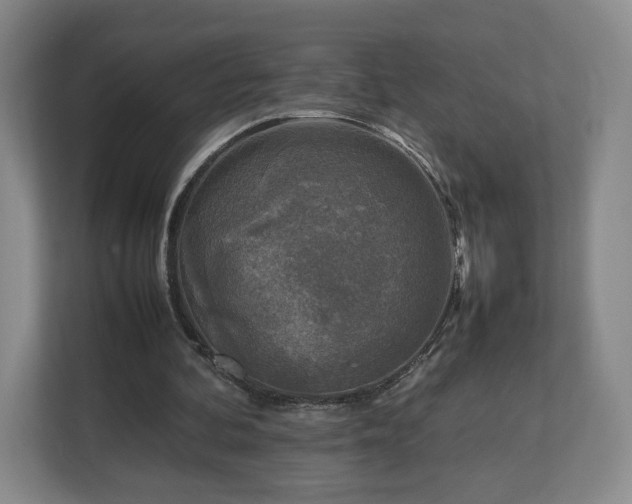 X0000112730292200908271434