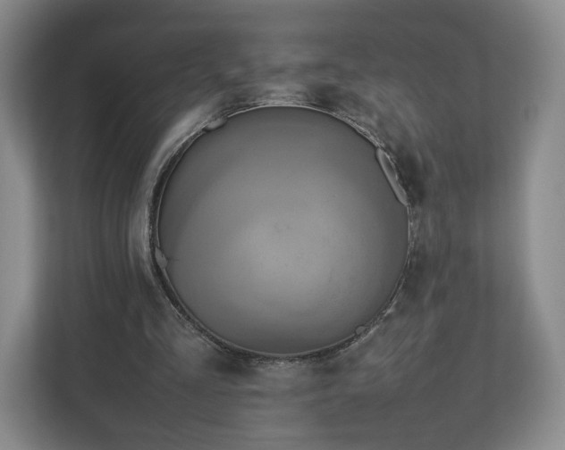 X0000112730293200908271434