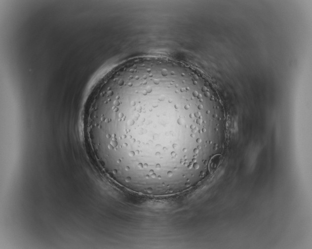 X0000112730294200908271434