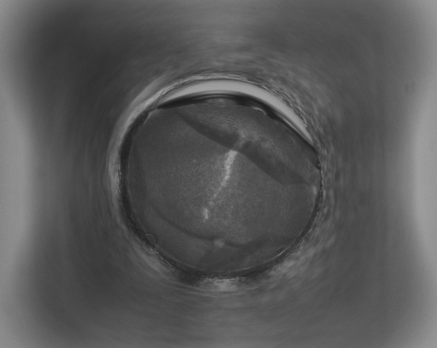 X0000112730295200908271434