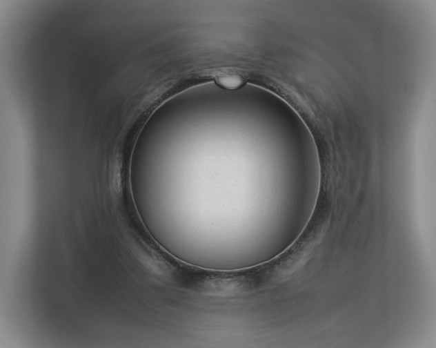 X0000112730299200908271434