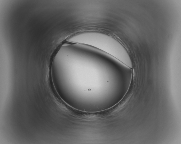 X0000112730301200908271434