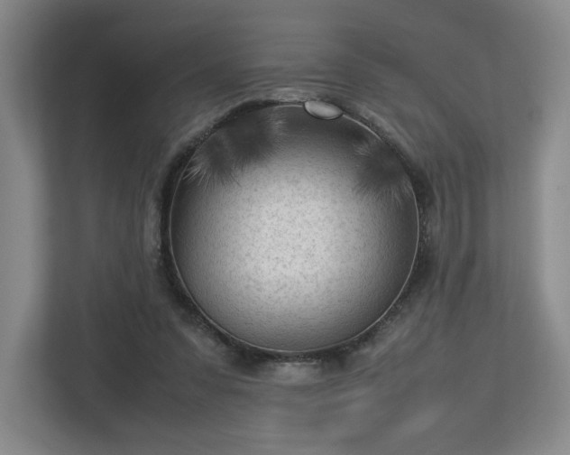 X0000112730303200908271434