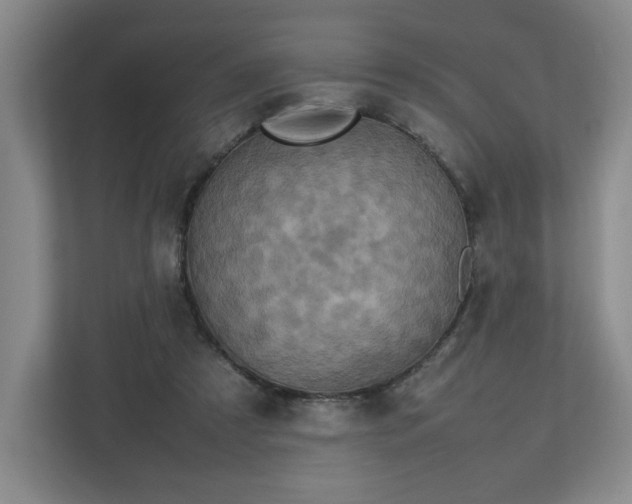 X0000112730305200908271433