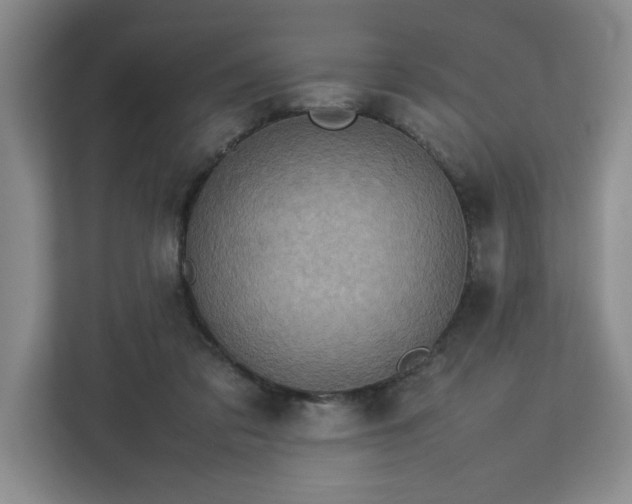 X0000112730309200908271433