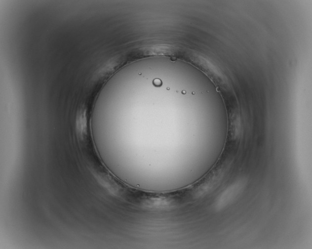 X0000112730310200908271433