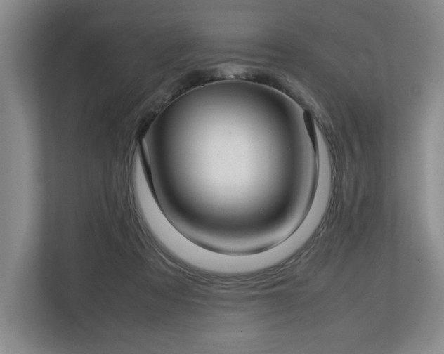 X0000112730313200908271433