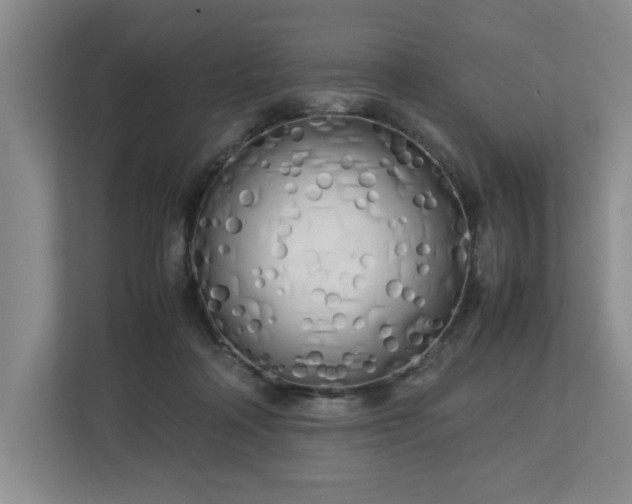 X0000112730314200908271433