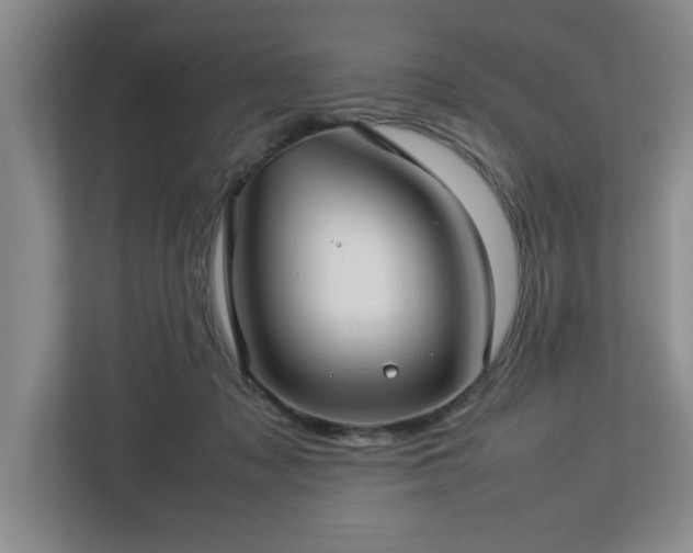 X0000112730317200908271433