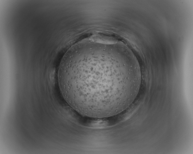 X0000112730319200908271433